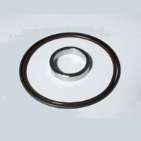 Single  Vanos BMW_poln