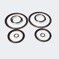 Double Vanos BMW_poln