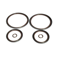 beisan double nepoln